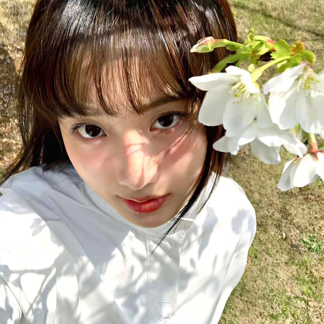 南风知我意